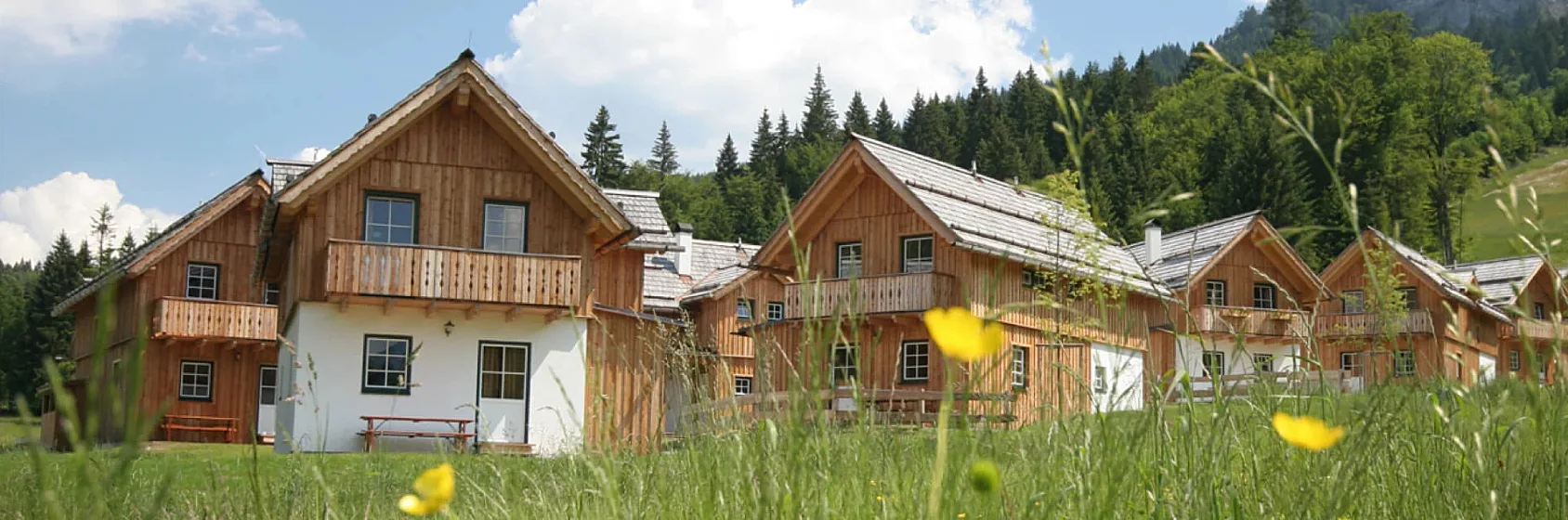 Dormio verblijf Dawn Technology